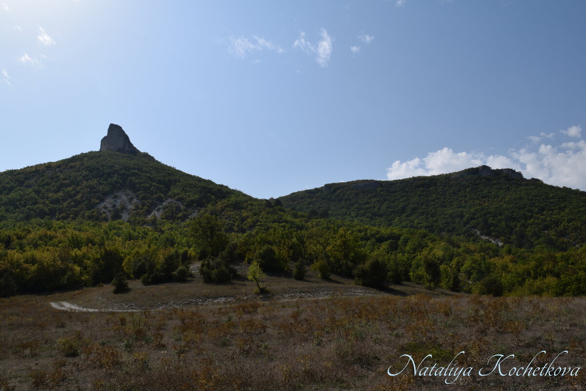 Природа Крыма - Amazing Cosmea