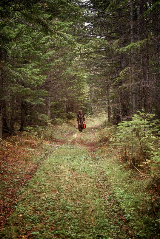 грибник - Елена 