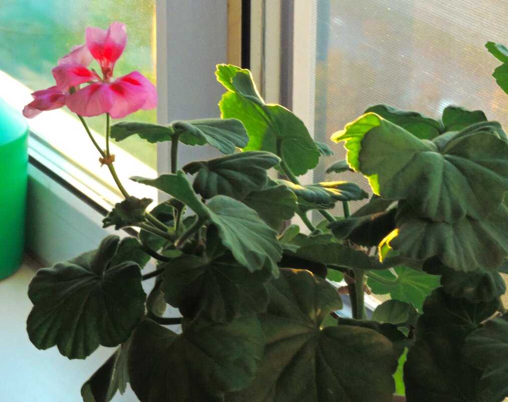 Генрань... - Юрий Куликов