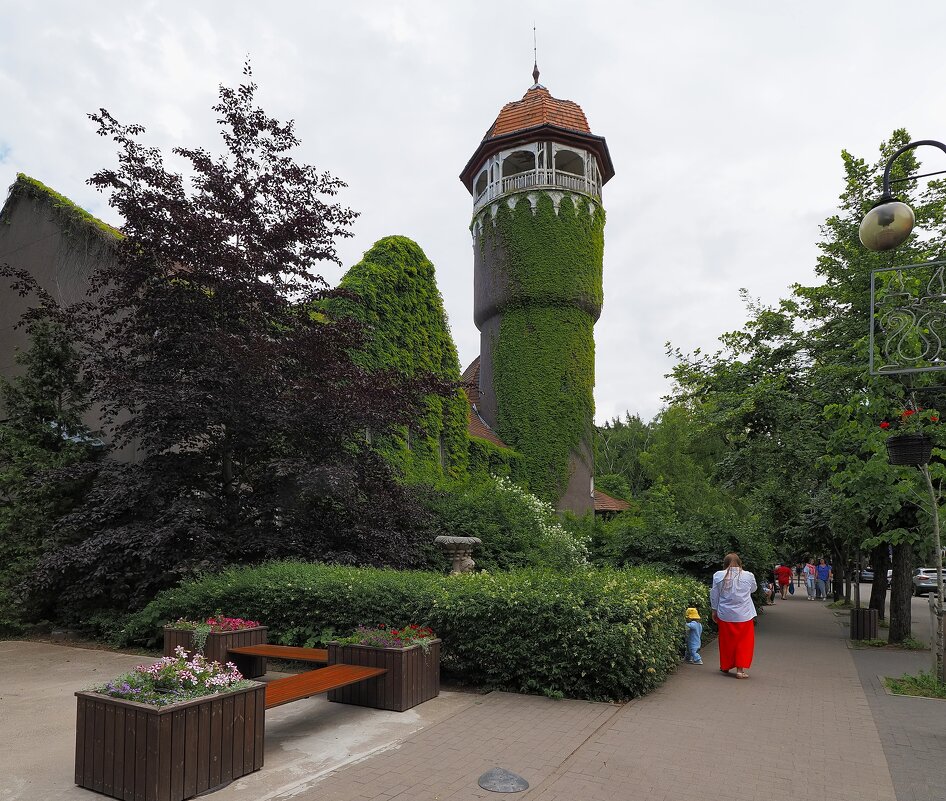 Из прогулки по Светлогорску. - Евгений Седов