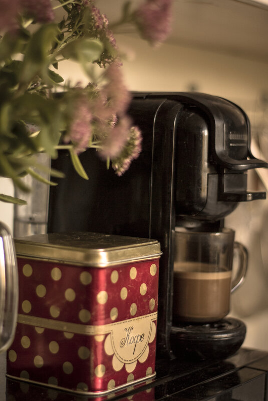 Утро любого дня - Тамара Федорова