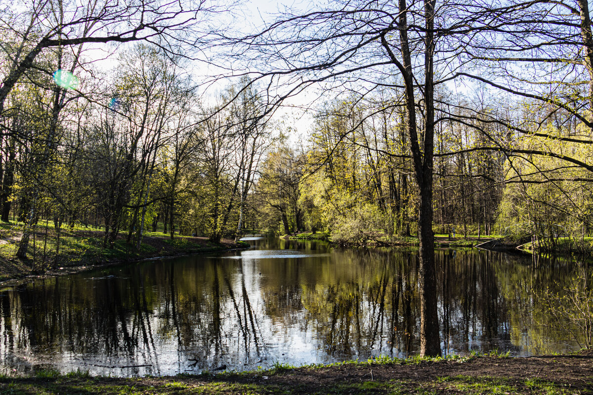 пруд - navalon M