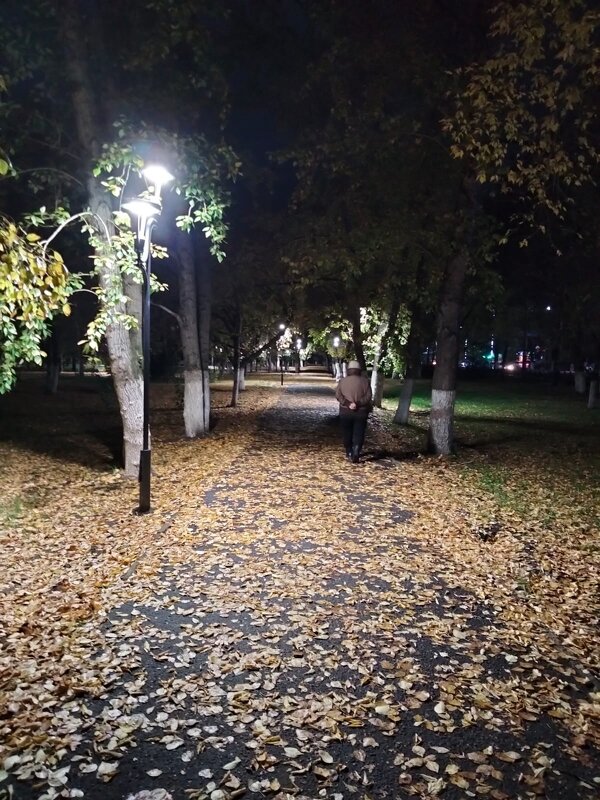 Вечерняя прогулка - Динара Каймиденова