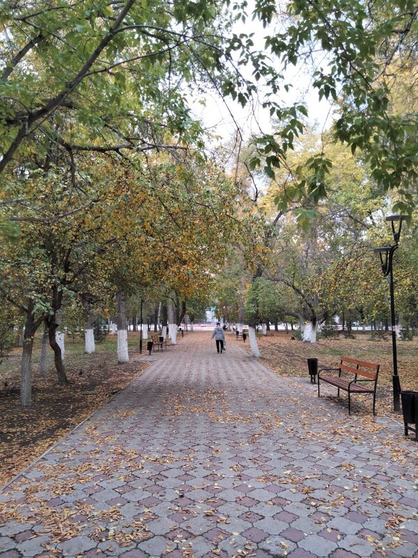 Осенний парк - Динара Каймиденова