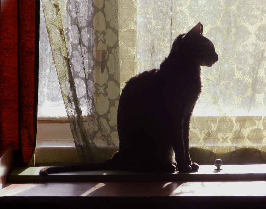 Вася сфинкс - Лера 