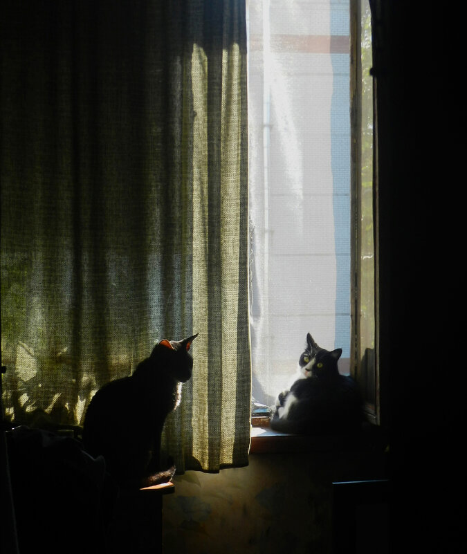 *** - Лера *** - Лера