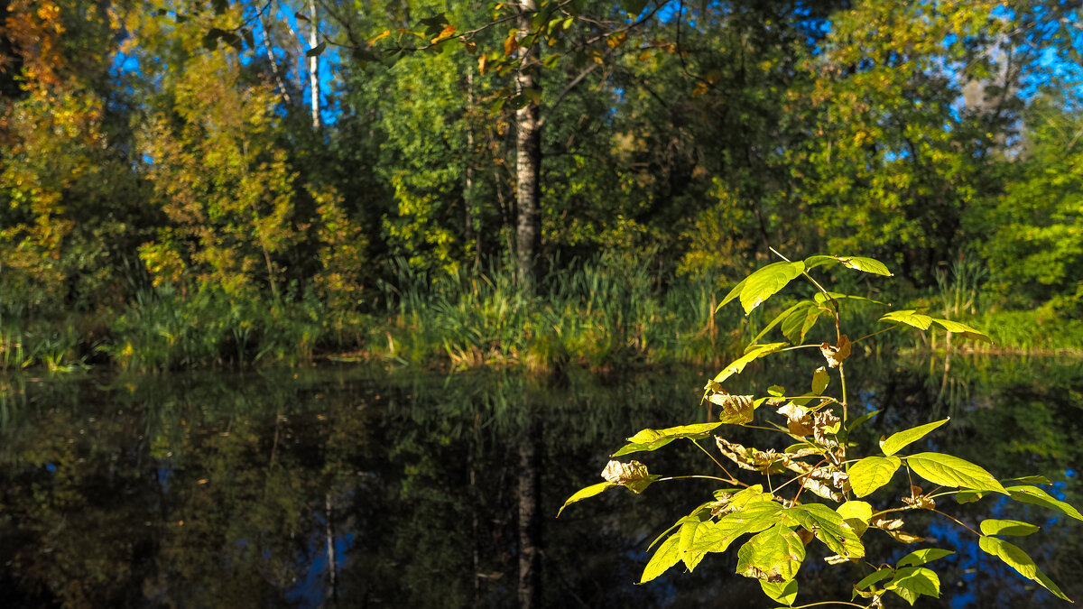 ***** - юрий поляков ***** - юрий поляков
