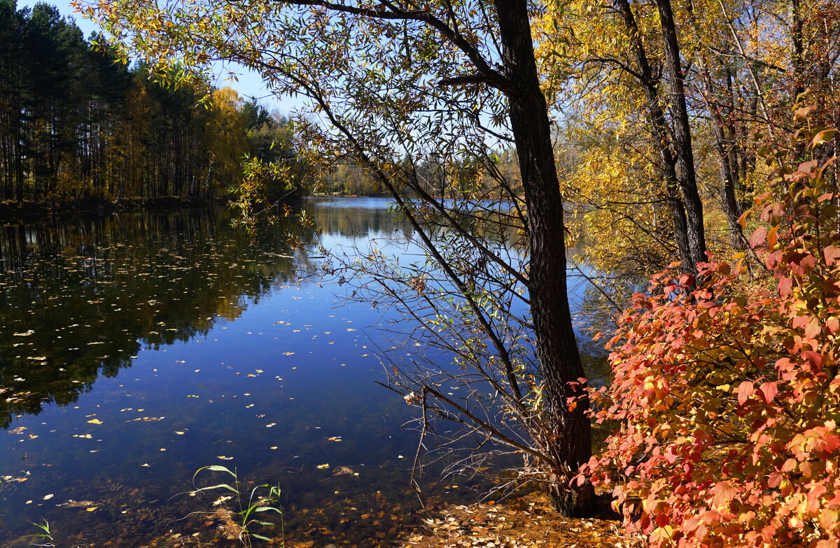 Осенний пруд - Наталия Григорьева
