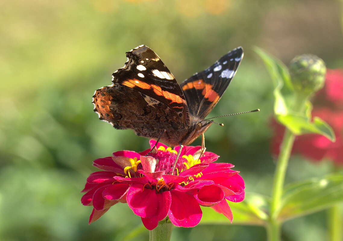 ... - Вячеслав Минаев