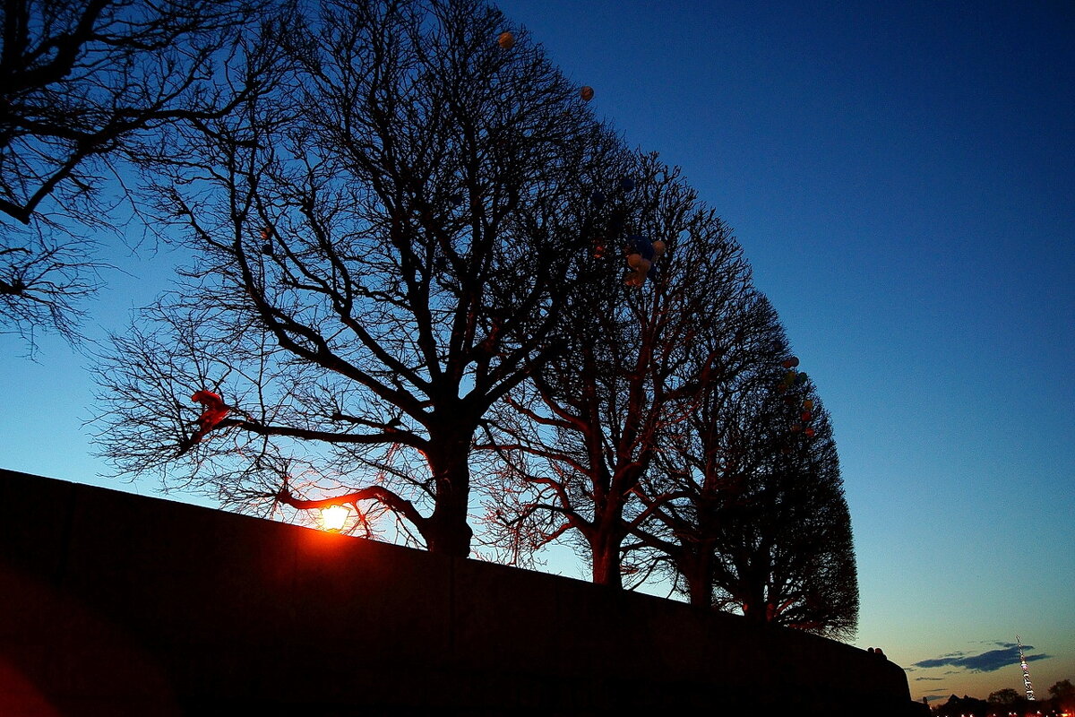 Свет и тьма 10 - Игорь Тельцов