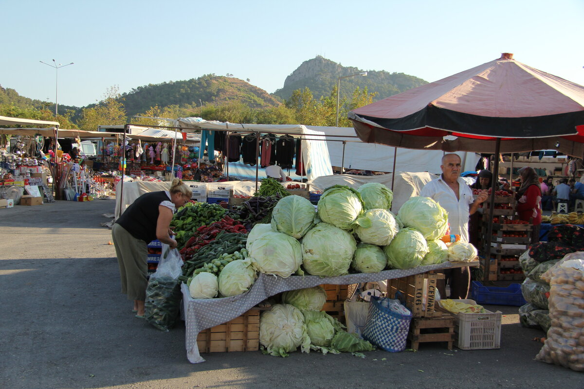 Капуста зреет в саду у дяди Вани - Gen Vel Капуста зреет в саду у дяди Вани - Gen Vel