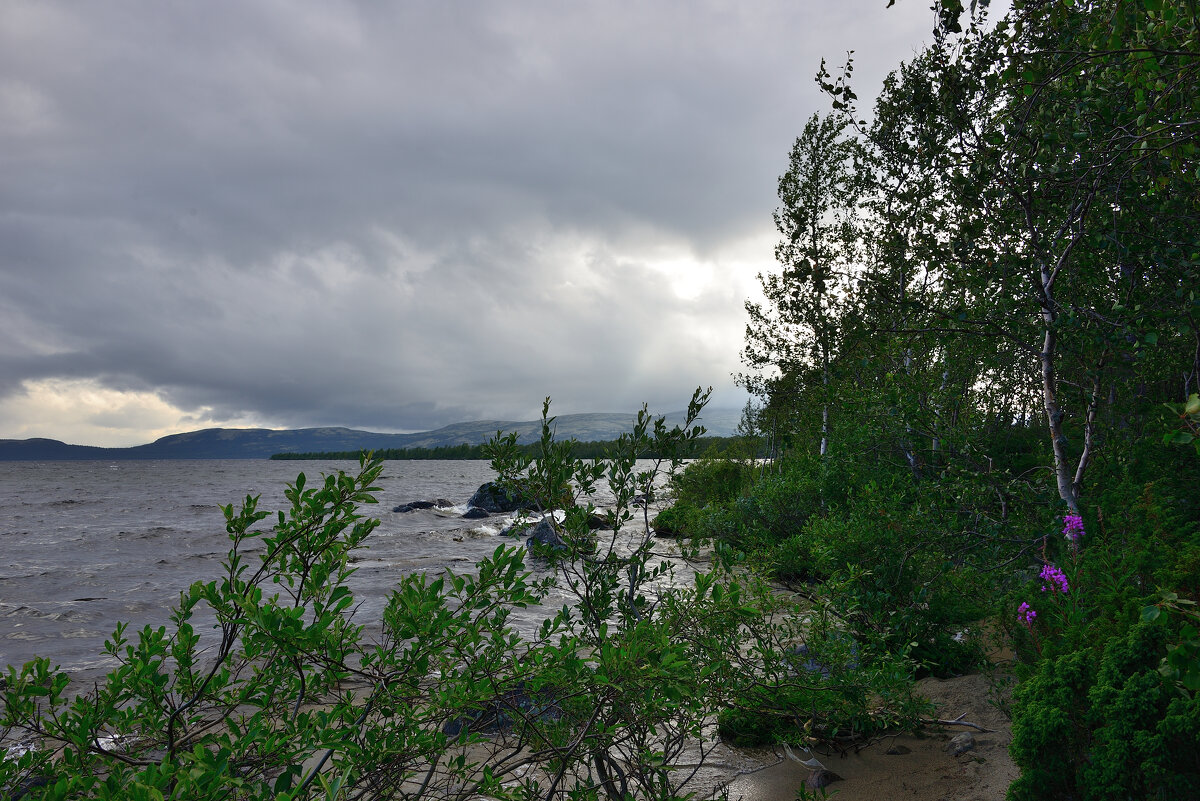 *** - Александр Хаецкий