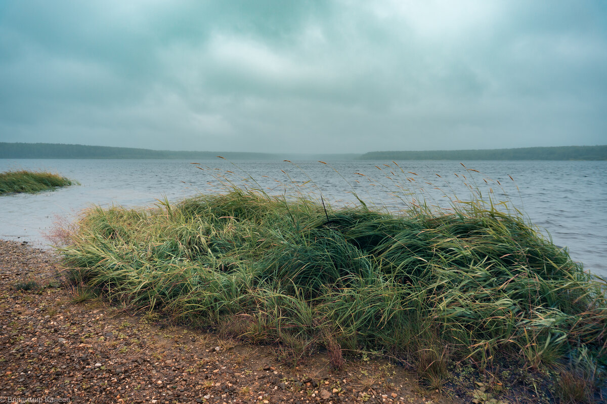 Холодное лето - Владимир Калеев