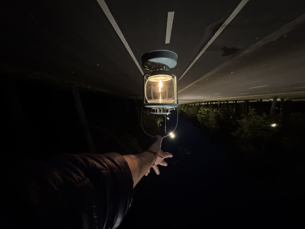 Ночь - Анна Камс