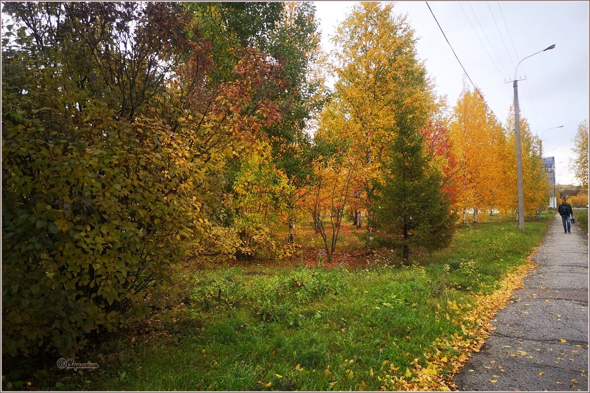 Сентябрьское утро... - Aquarius - Сергей