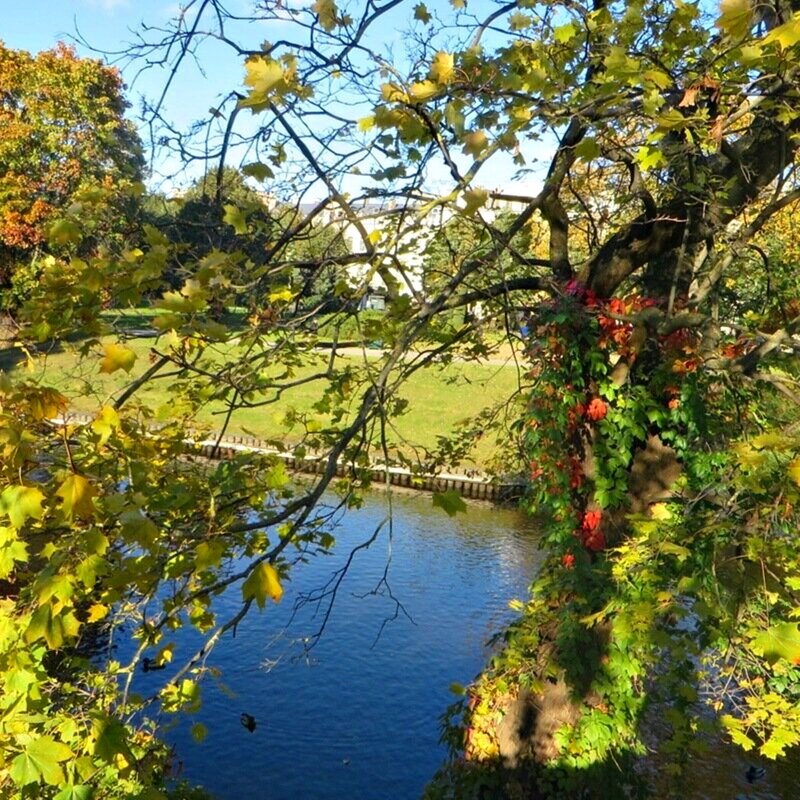 осень - марта Камушкина