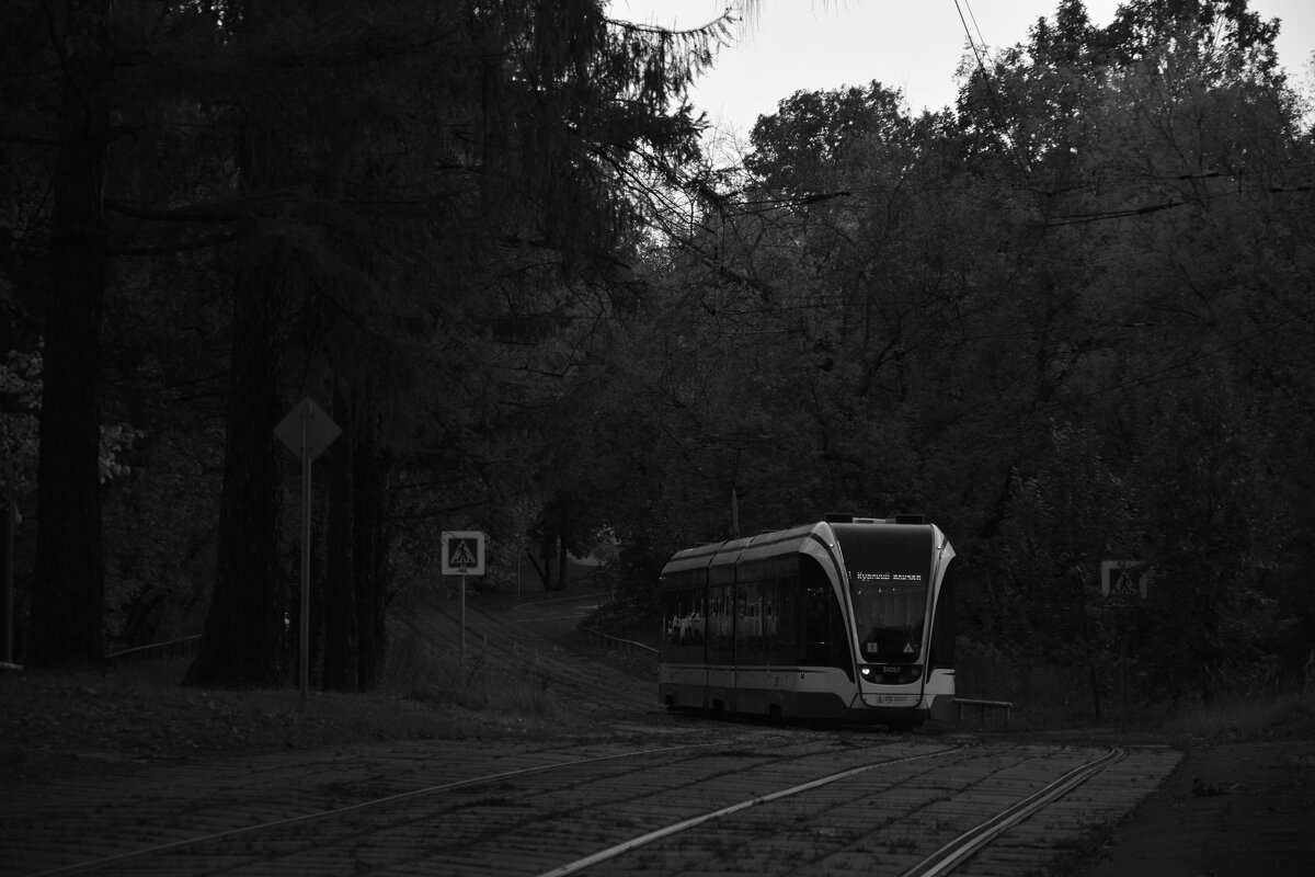 Ч/б свет - Мария Яковлева