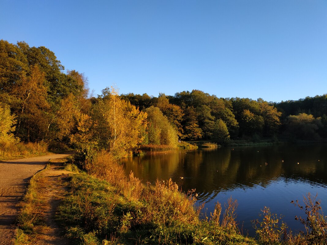 Сентябрь уж отступил - Андрей Лукьянов