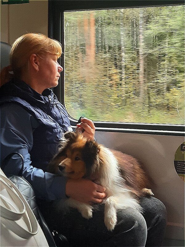 А за окном осень и немного грустно,что лето прошло! - Нина Андронова