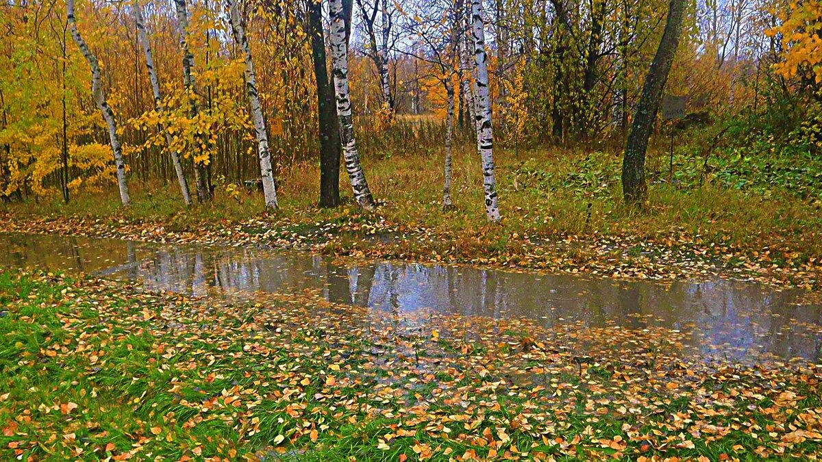 Октябрь...Лужи в заброшенном парке! - Владимир Октябрь...Лужи в заброшенном парке! - Владимир