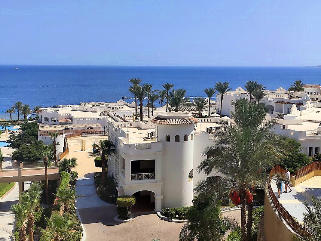 С миру по нитке... - Роман Савоцкий