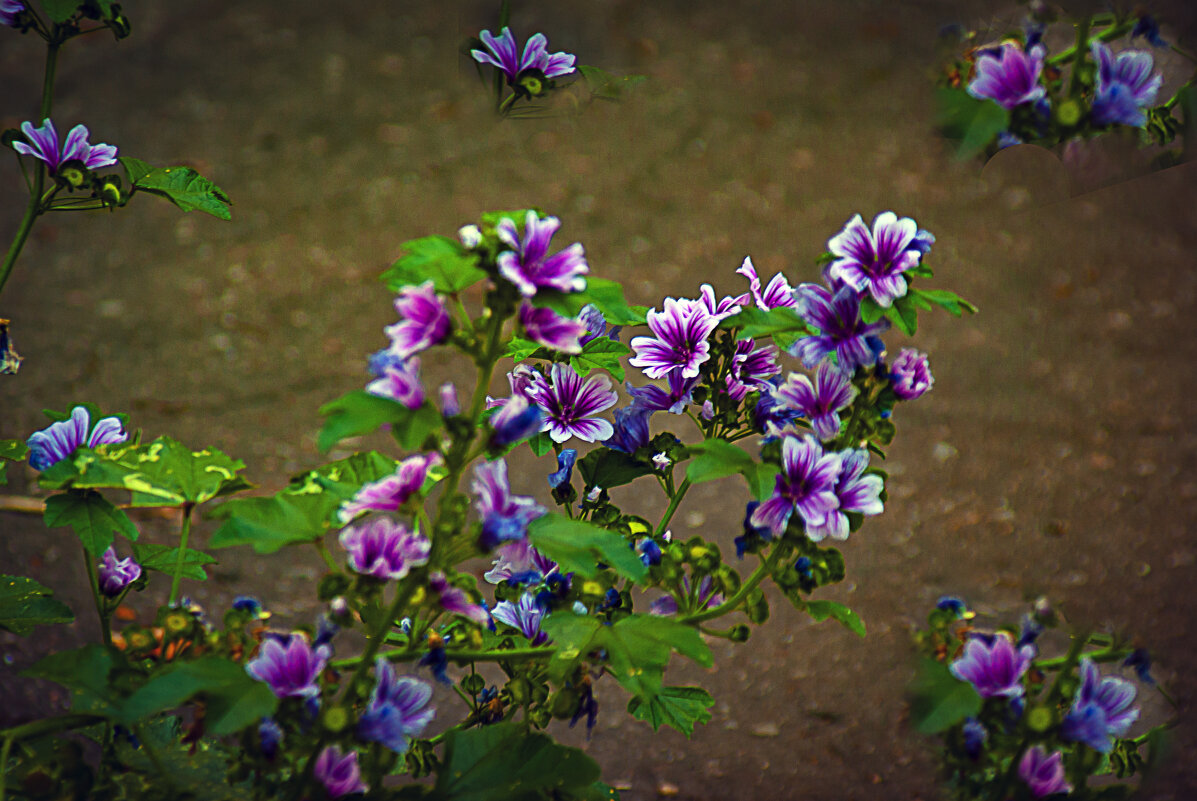 Уличная зарисовка - Владимир Кроливец