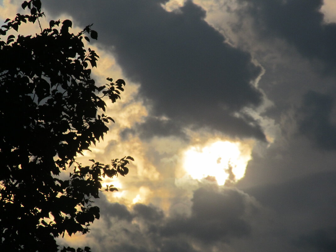 вечернее небо - Елена Шаламова