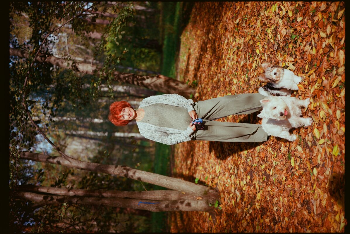 В лучах осеннего солнца - Евгений Золотаев