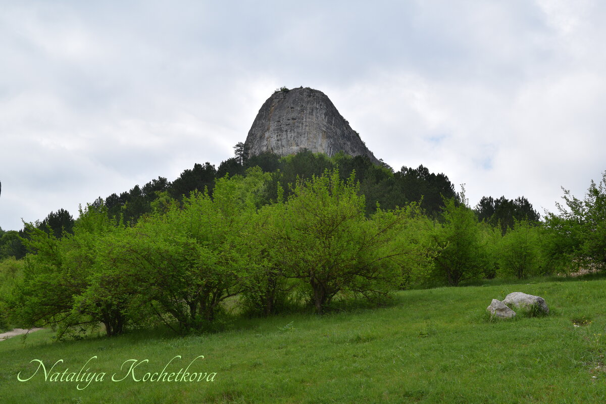 Природа Крыма - Amazing Cosmea Природа Крыма - Amazing Cosmea