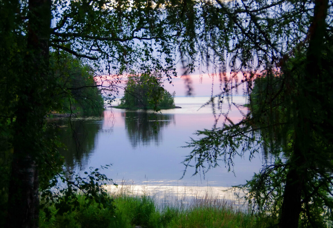Ласковое утро - Ирэна Мазакина
