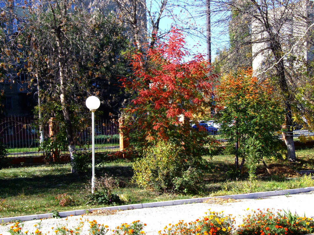Осень в городе. - Анатолий Уткин