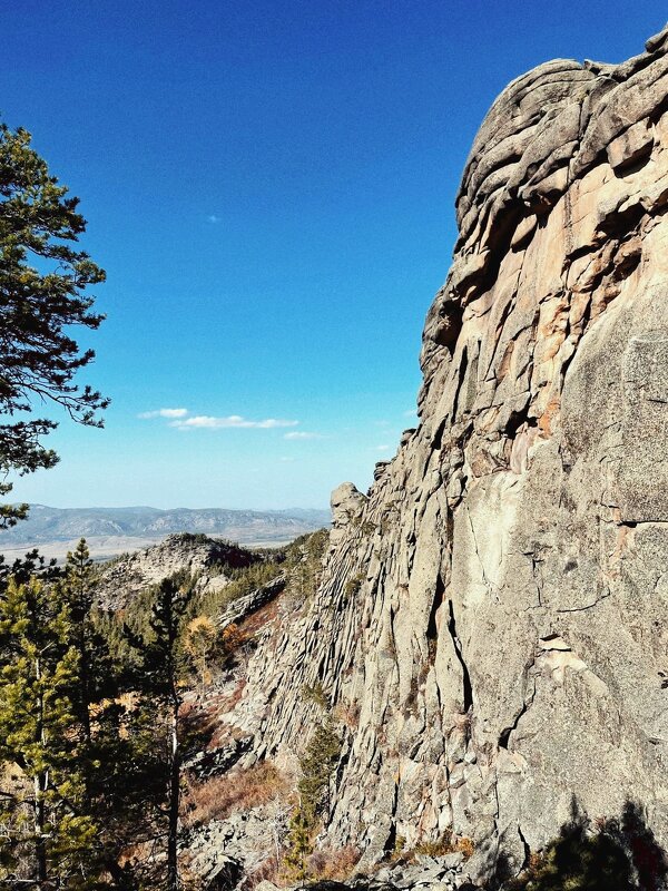 Вертикаль - Георгиевич 