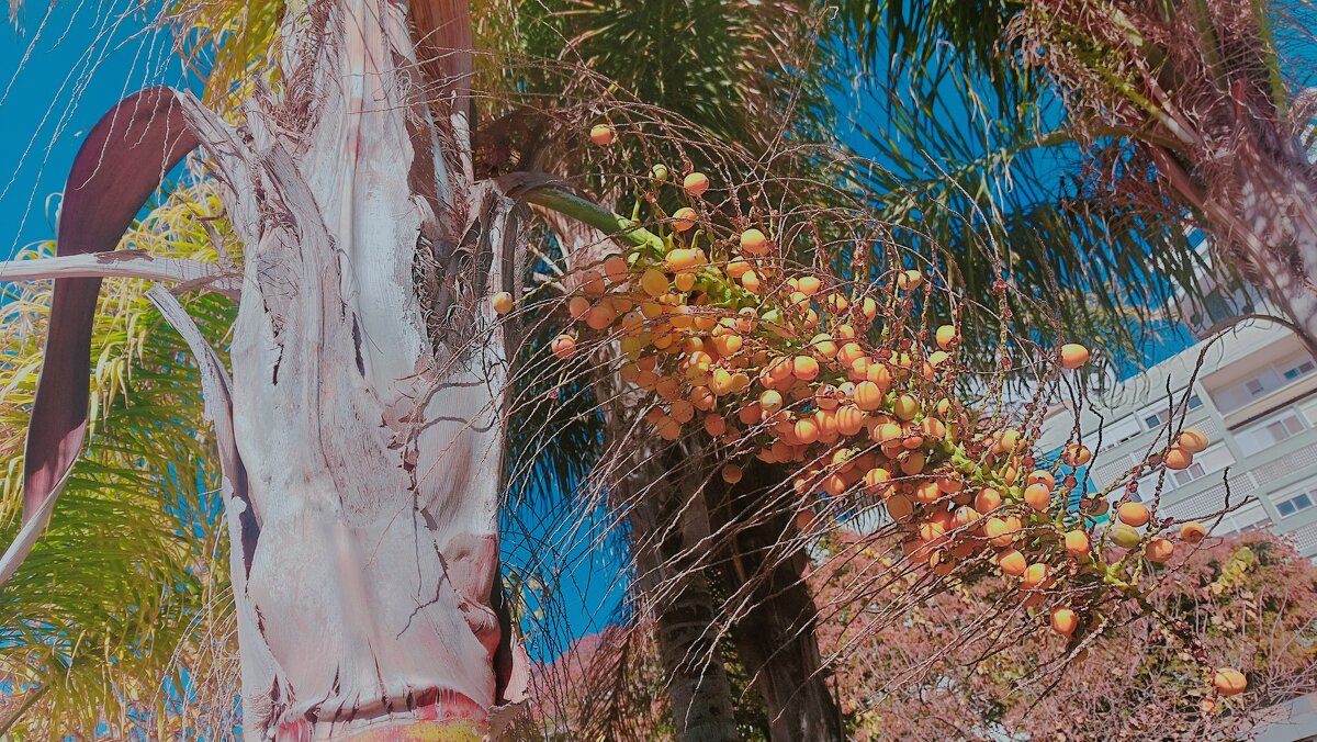 13  ОПЕН (443) - OPEN WAYS ALL