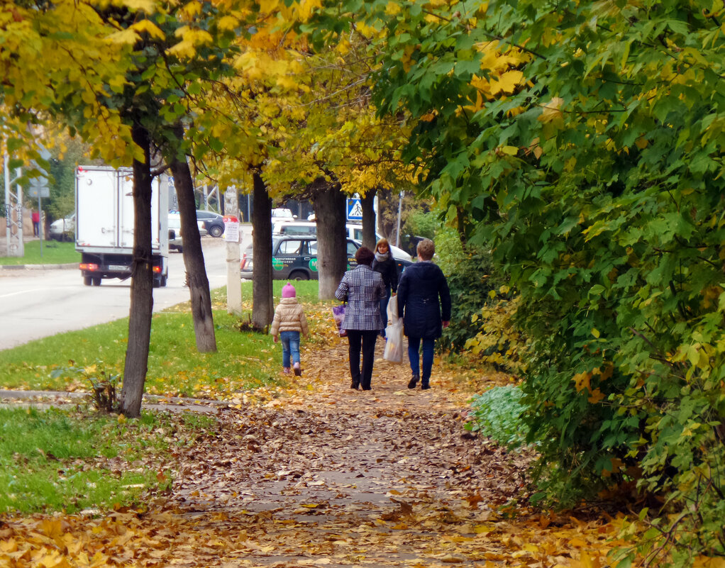 Осеннее - Ольга 