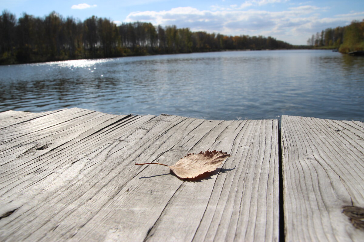 Сентябрь - Евгения Каравашкина