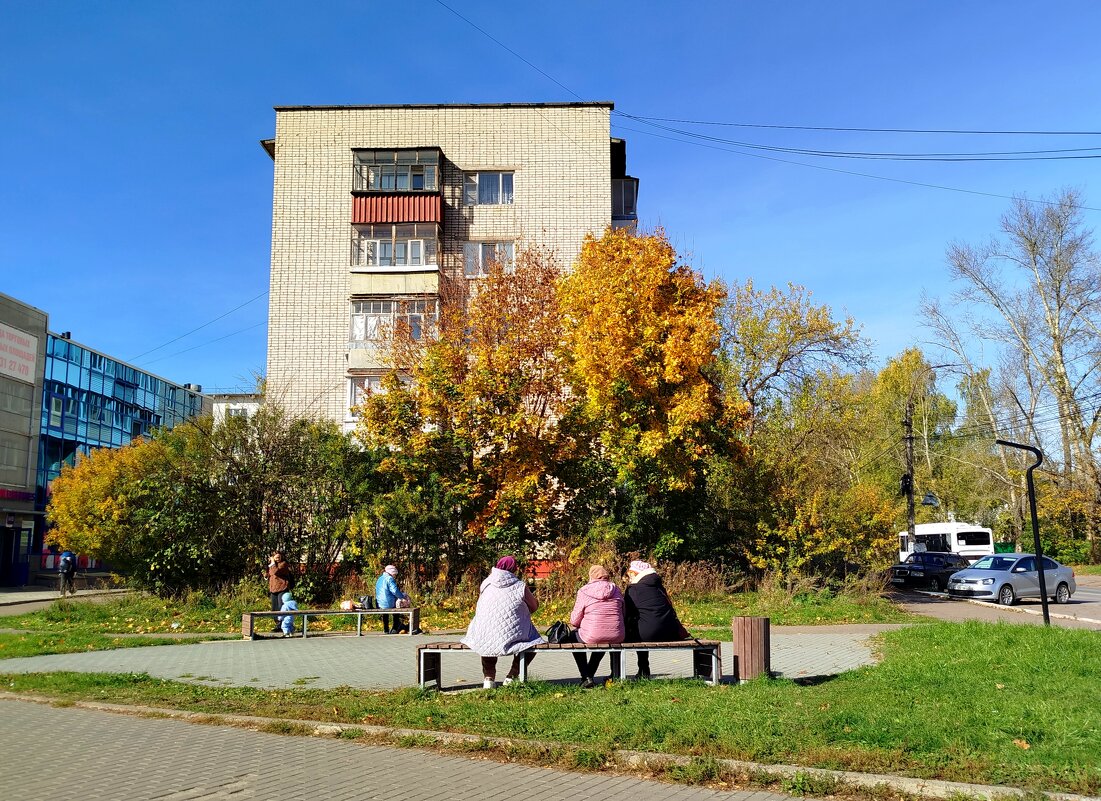 Из осеннего... - светлана льдокова