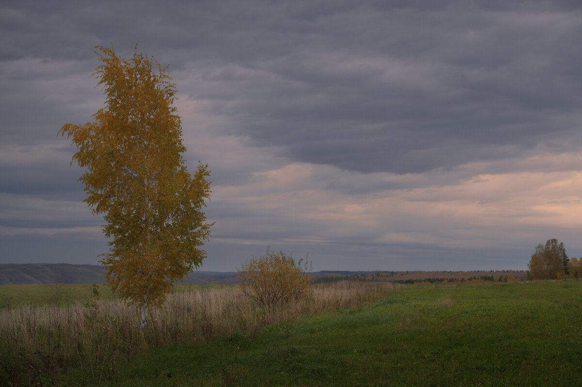 * - Александр Иванов