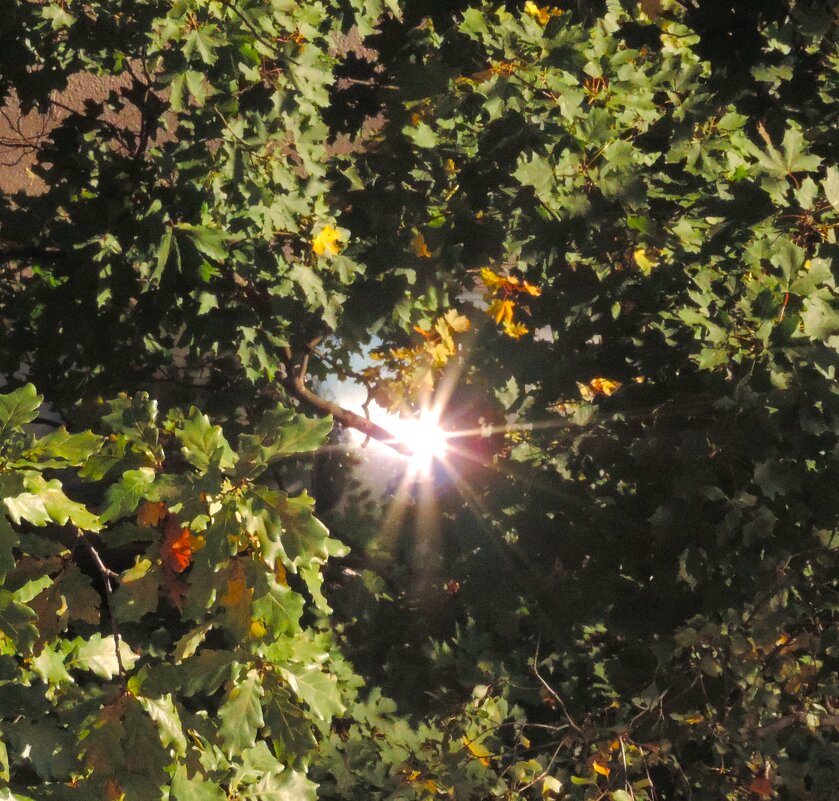 Поймал зайчишку... - Юрий Куликов