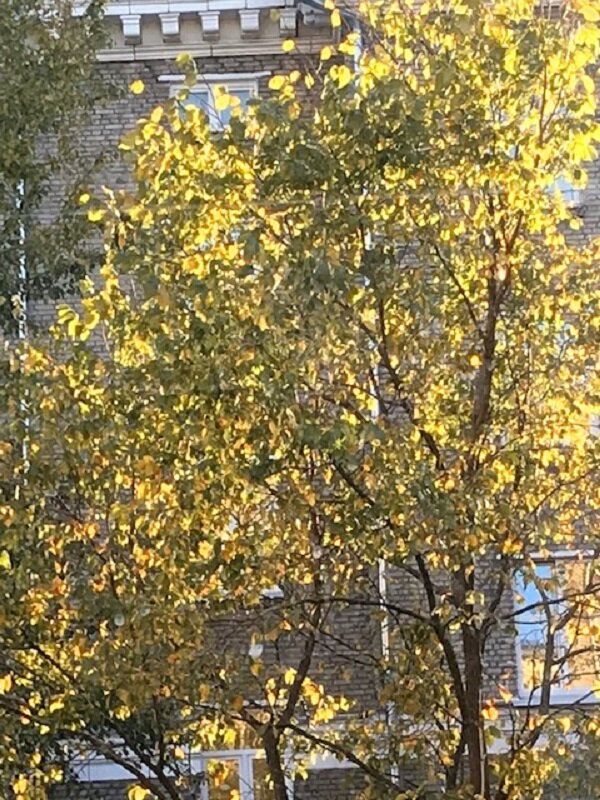 Октябрь....На закате... - Татьяна Юрасова