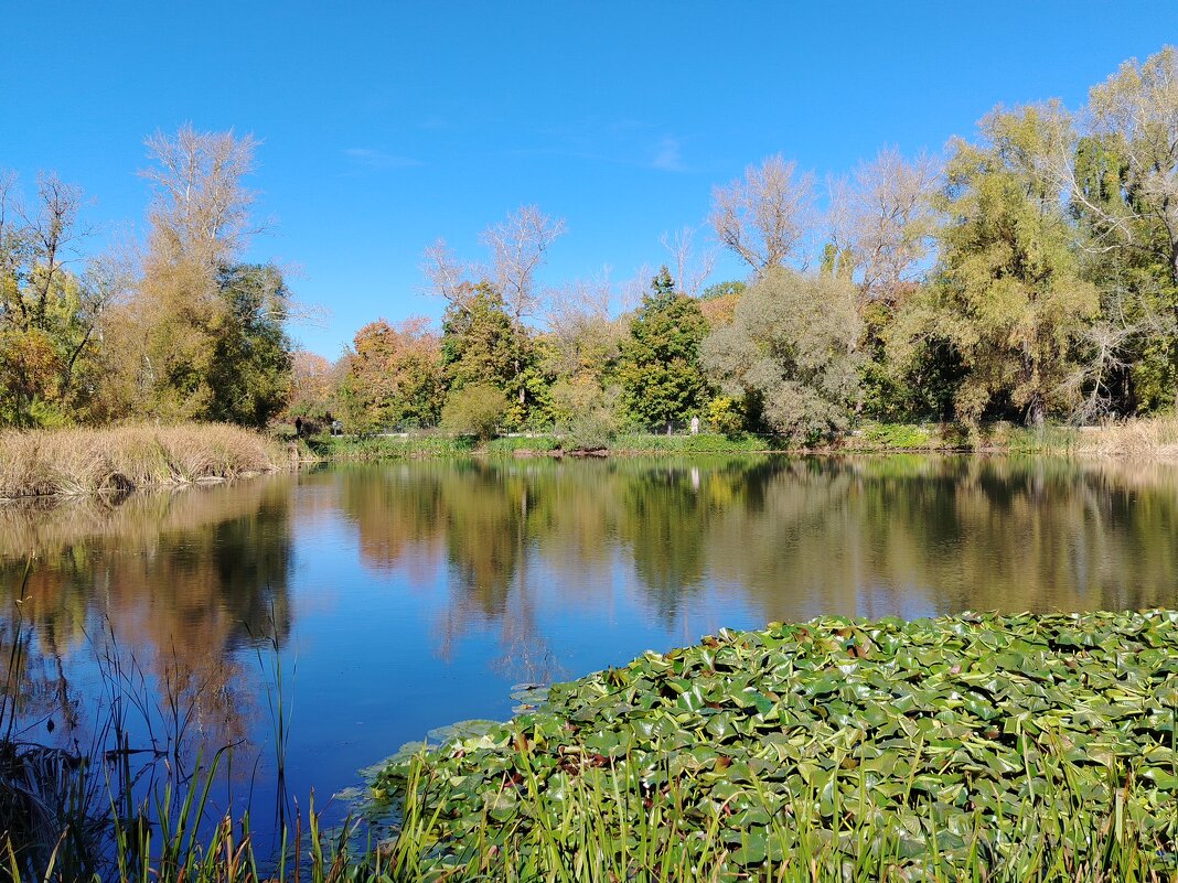 В ботаническом саду. - Надежда В ботаническом саду. - Надежда