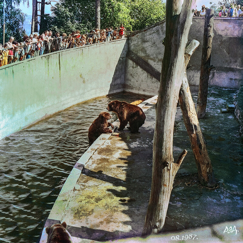 Мишки в Риге. - Роланд Дубровский