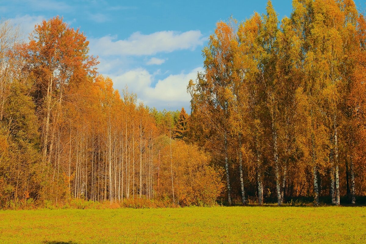 осень - Владимир иванов