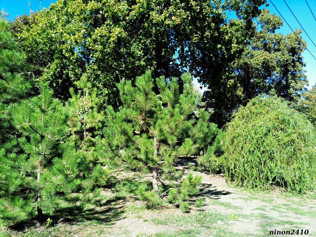 Сентябрь в парке Октября - Нина Бутко