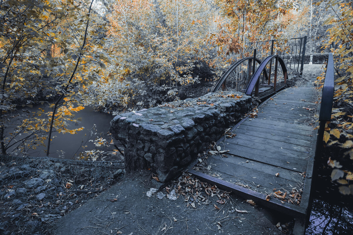 Закутки реки Яуза - Игорь Егоров