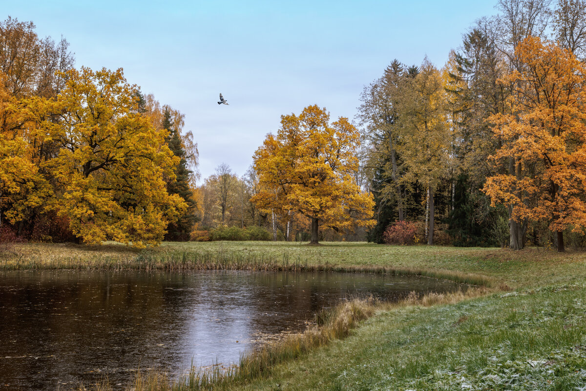 Про Питер - Владимир Колесников