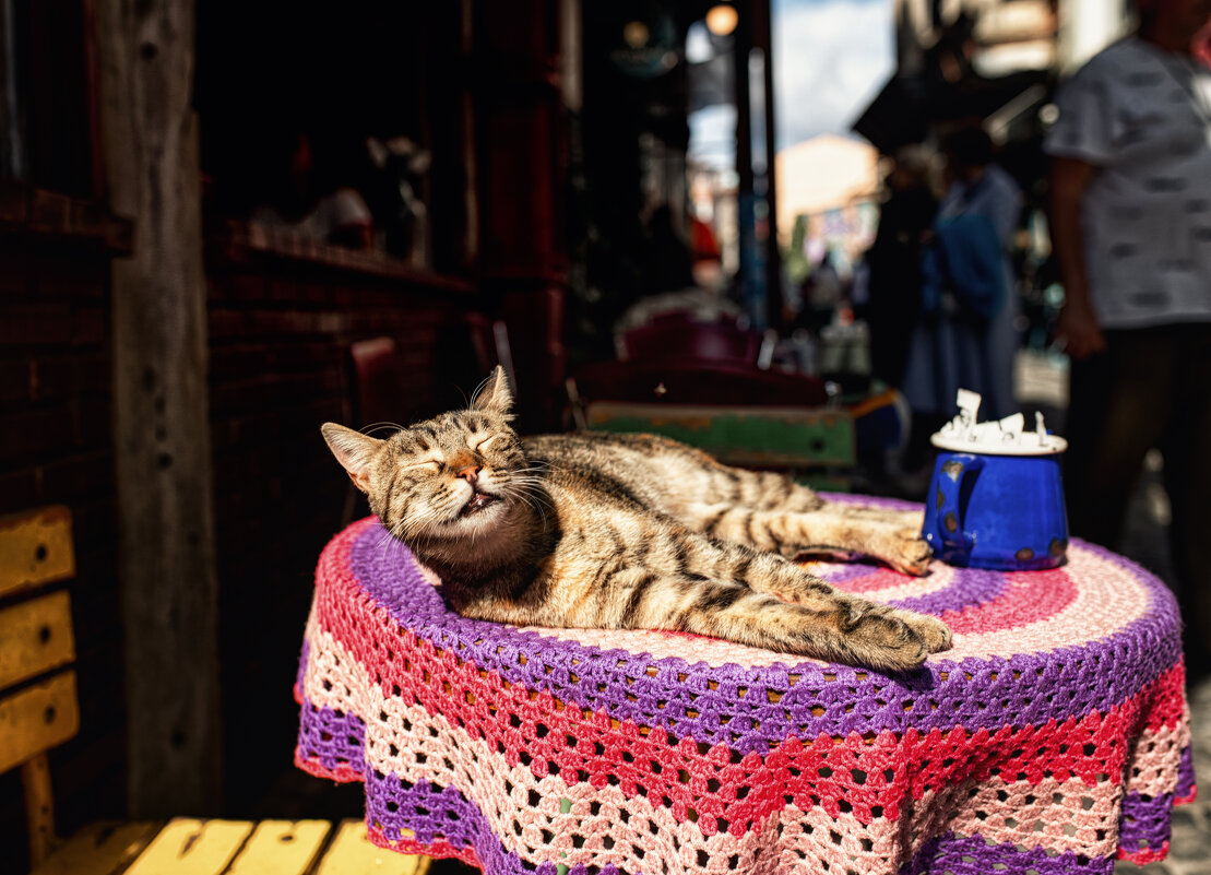 - Ты мне только солнце не загораживай..) - Лилия .
