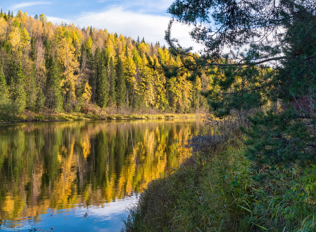 Обворожительно-красивая река Ухта 30 сентября. Осеннюю тишину нарушают только всплески хариуса. - Николай Зиновьев