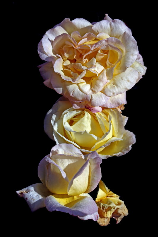 1 октября на ВДНХ - Михаил Бибичков