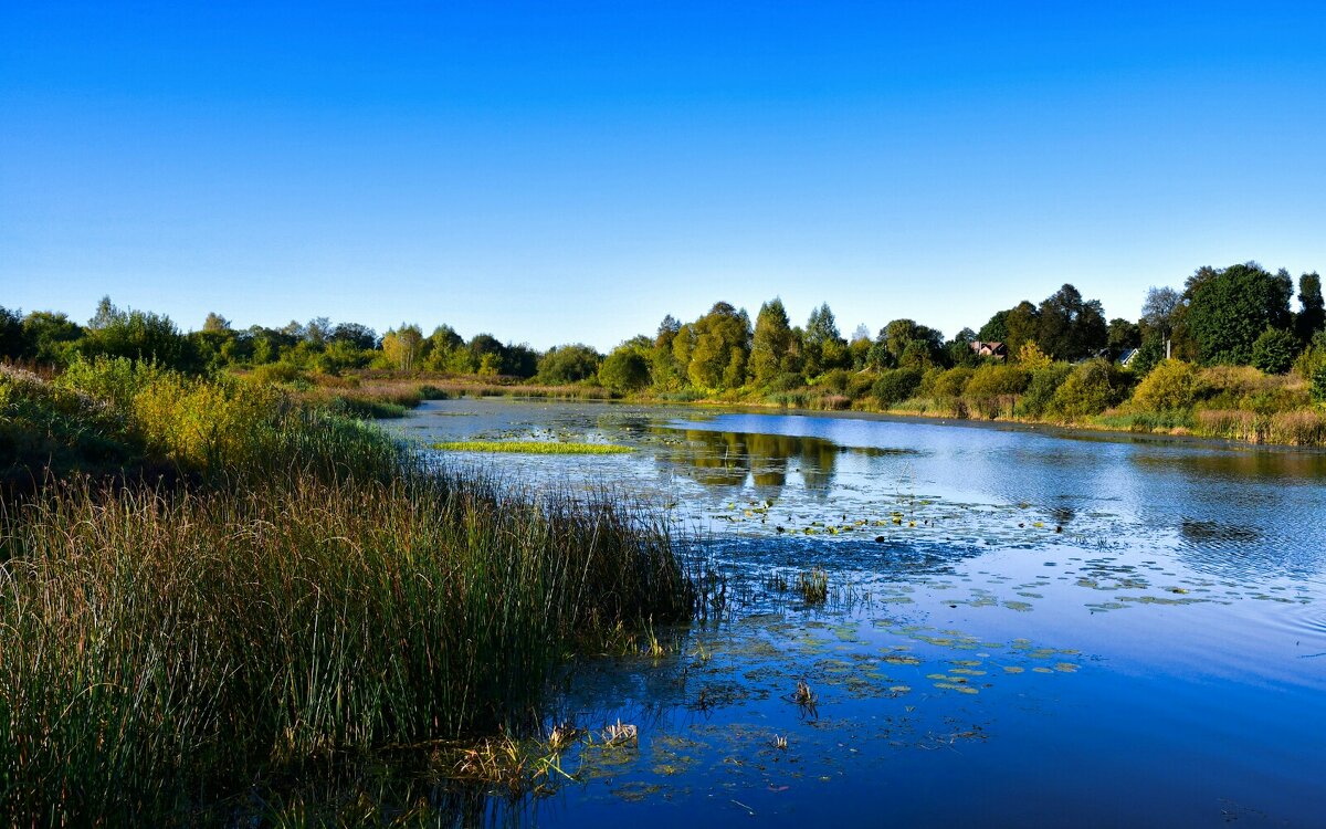Осень в сентябре. - Милешкин Владимир Алексеевич 