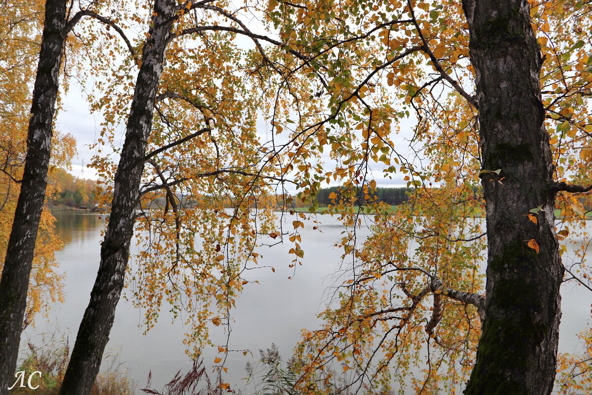 Шагает осень по Уралу - Любовь Сахарова